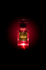 Gift Box of 2 - For Them - Luxury Perfumes Gift Set