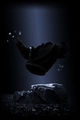 The Lion - Luminescent Hoodie - Premium Oversized Organic Cotton Fleece