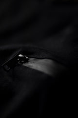 The Lion - Luminescent Hoodie - Premium Oversized Organic Cotton Fleece