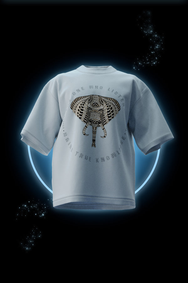 Knowledge & Wisdom -  Premium Oversized French Terry Cotton T-shirt