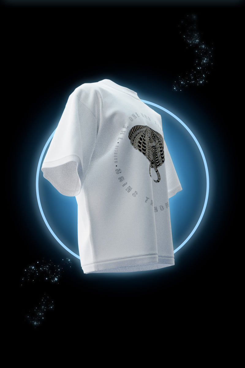 Knowledge & Wisdom -  Premium Oversized French Terry Cotton T-shirt